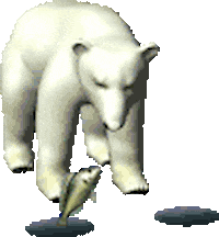 ice fishing polar bear