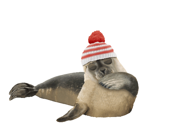 seal with winter hat blowing a kiss