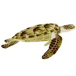 Tan, Brown and Taupe color Sea Turtle clipart