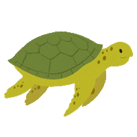 Olive green and chartreuse color animated Sea Turtle