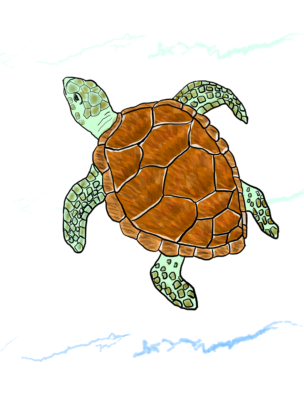 Brown and Green Sea Turtle clipart
