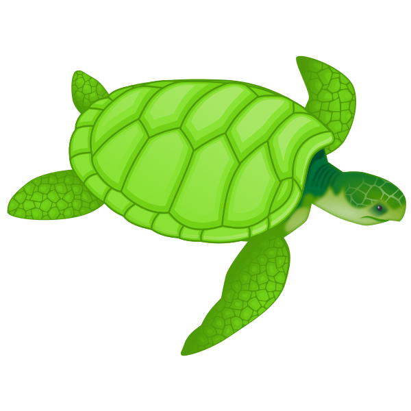 Lime Green Sea Turtle clipart