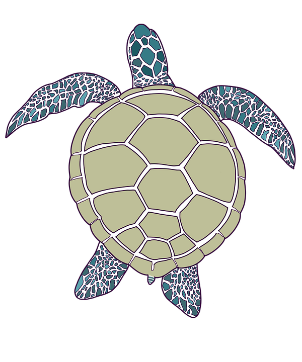 Brown and Taupe color Sea Turtle clipart