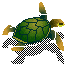 Little Sea Turtle swimming