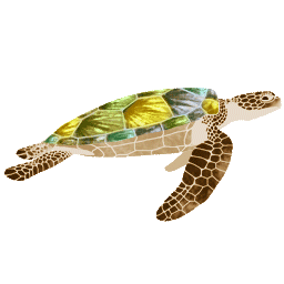 Yellow, Brown and Green Sea Turtle animated gif sticker