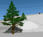 snow skiier runs into pine tree