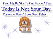 today is not your day
