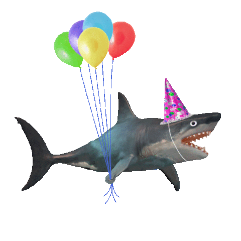 birthday shark